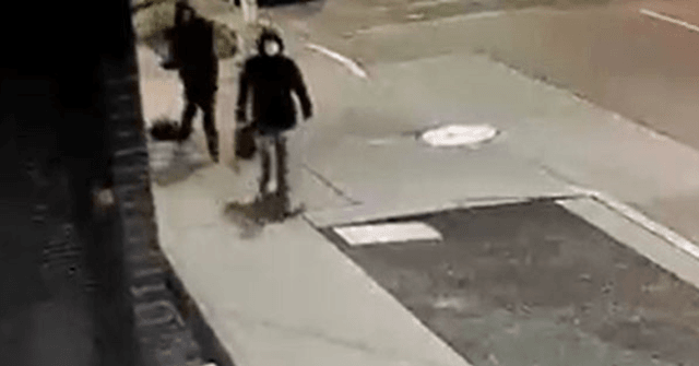 Homeless Man in Seattle Uses Bat to Crack Woman in Head, Police Say