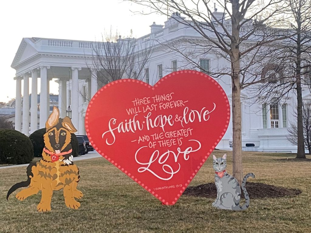 Bidens’ puppy Commander and cat Willow feature on the North Lawn.