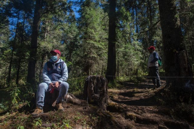 Wildlife defenders are seen on patrol at Mexico's El Rosario monarch butterfly sanctuary