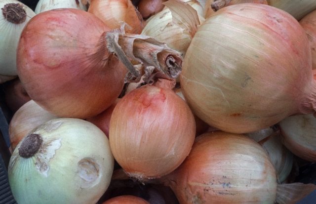 Know Your Onions US Customs Find 3m Of Meth Disguised As Veg Breitbart