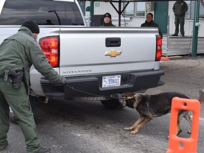 A Border Patrol K-9 alerts to a scent it is trained to detect at a South Texas interior checkpoint. (File Photo: Bob Price/Breitbart Texas)