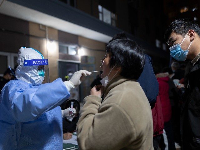 A woman gets her throat swabbed for a coronavirus test as part of mass COVID-19 testing in
