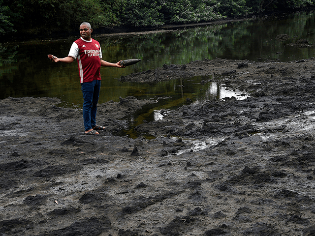 A resident stands on marshy shore of a river polluted by oil spills at B-Dere, Ogoniland i