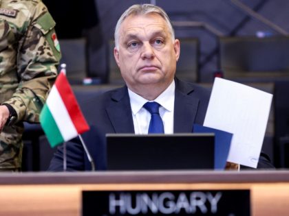 EXCLUSIVE – Hungary ‘Blocking Cooperation with Ukraine’ at EU, NATO over Anti-Hungarian Discrimination