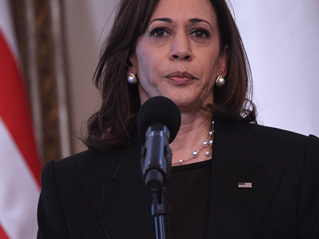 US Vice President Kamala Harris attends a press conference with the Polish President at Be