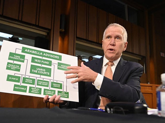 US Republican Senator Thom Tillis shows a chart as Judge Ketanji Brown Jackson testifies o