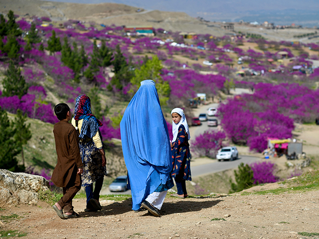 In this picture taken on March 25, 2022, a burqa-clad woman along with children visit the