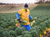 Green Agenda: Minister Ignores Ukraine Food Crisis Warnings in Favour of Solving ‘Nature Emergency’