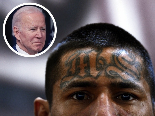 Conservatives Challenge Biden to Declare MS-13 Gang a Terrorist Group - Vimarsana News