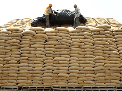 In this photograph taken on July 8, 2014 Indian workers remove a plastic sheet covering sacks of wheat at a storage facility on the outskirts of Amritsar. India's new government is due to present its first full budget on July 1o, 2014, which economists expect to contain a credible outline …