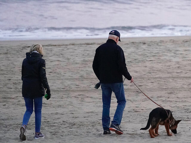 President Joe Biden and first lady Jill Biden take their dog Commander for a walk in Rehob
