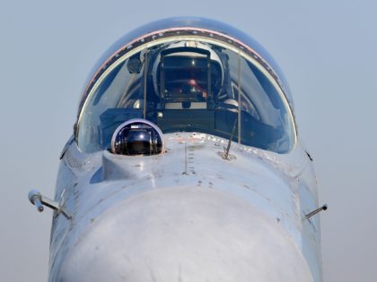 A Serbian Army MiG-29 jet fighter rolls over the tarmac during a ceremony at Batajnica mil