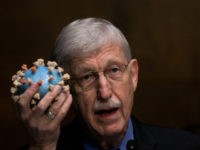 Audio Reveals Francis Collins Touting Vax Mandates, Threatening Jobs