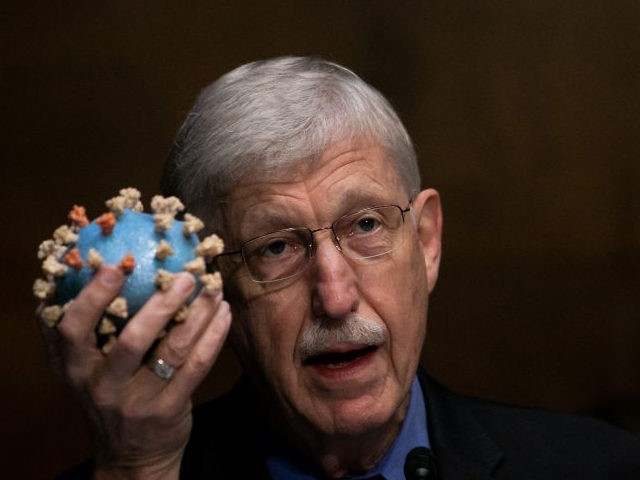 National Health Institute Director Francis S. Collins holds a model of a Coronavirus, as he testifies at a Senate Labor, Health and Human Services, Education and Related Agencies Subcommittee hearing on manufacturing a Coronavirus vaccine on Capitol Hill on July 2, 2020 in Washington, DC. (Photo by Graeme Jennings-Pool/Getty Images)