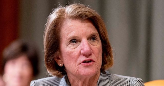 Shelly Moore Capito Refuses to Say if She Will Endorse President Trump