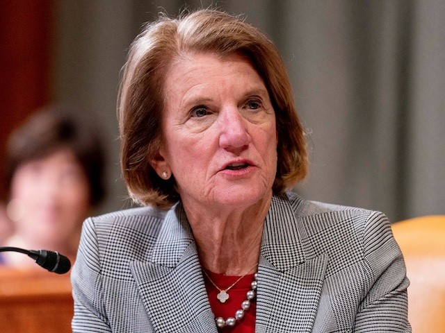Shelley Moore Capito: 'I Am in Mitch McConnell's Camp' - Vimarsana News