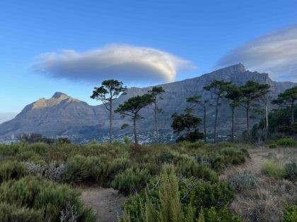 Table Mountain (Courtesy of Joel Pollak)