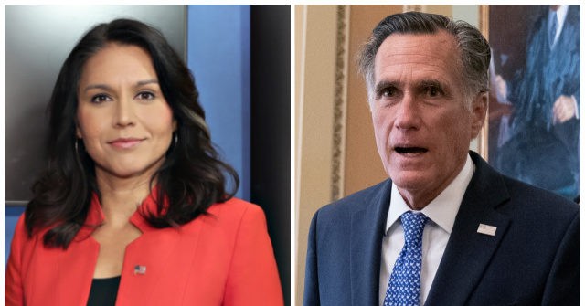 Tulsi Gabbard Hits Back at Mitt Romney for Calling Her 'Treasonous' - Vimarsana News