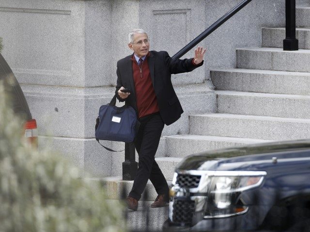 FILE - In this April 5, 2020, file photo, Dr. Anthony Fauci, director of the National Institute of Allergy and Infectious Diseases, walks outside the White House, in Washington. After decades of renown in American medicine, Dr. Fauci has become an unlikely celebrity in his role as director of the …