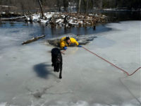 WATCH: Massachusetts Firefighters Rescue Black Lab that Fell Through Ice
