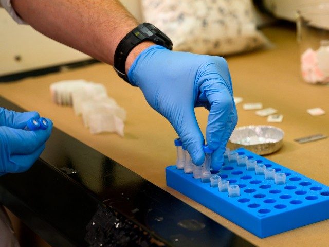 A Drug Enforcement Administration (DEA) chemist checks confiscated powder containing fenta