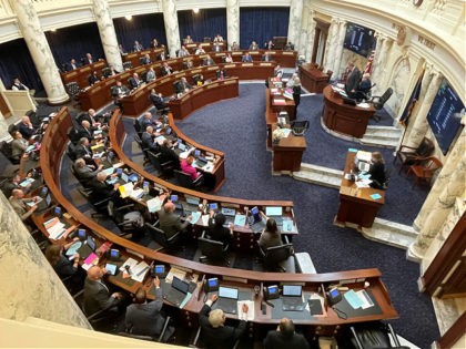 The Idaho House of Representative voted to approve a Texas-styled bill banning abortions after six weeks of pregnancy by allowing potential family members to sue a doctor who performs one, on Monday, March 14, 2022, at the Statehouse in Boise, Idaho. The bill has already passed the Senate and now …
