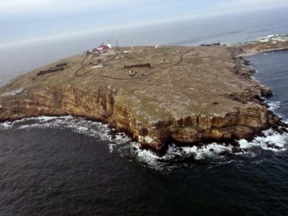 The group of Ukrainian troops were defending Snake Island in the Black Sea when they were
