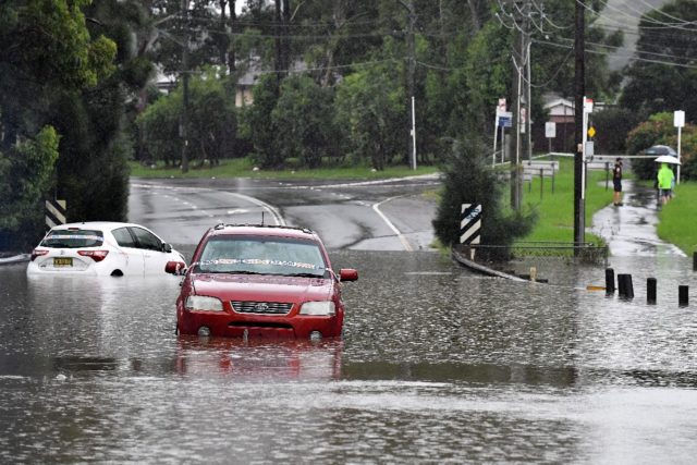 The scale of the damage to property and wildlife in Australia has been compared to devasta