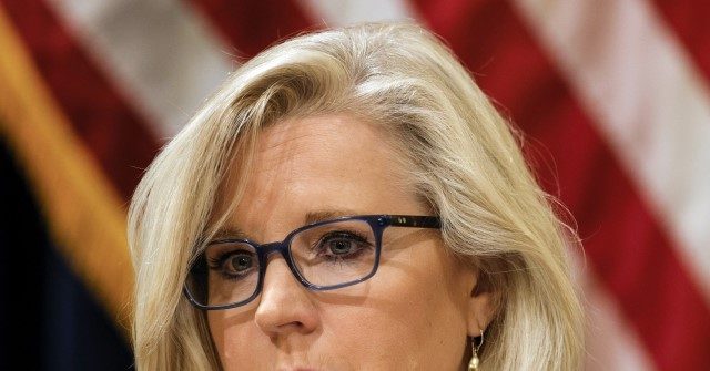 Liz Cheney: Our Politics Created a Situation Where 'We're Electing Idiots' thumbnail