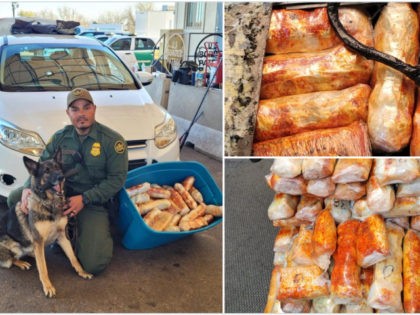 Tucson Sector agents work tirelessly to secure our border, including these Nogales Station agents at the I-19 Checkpoint. With an excellent #USBP K9 team, they seized 85 pounds of fentanyl concealed in a vehicle. Agents coordinated with @DEAPHOENIXDiv following the seizure.