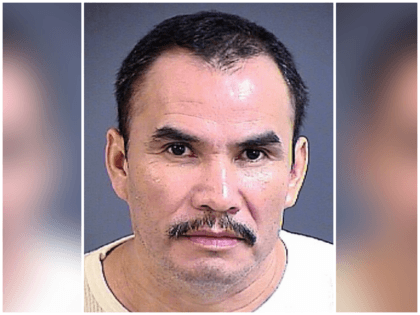 An illegal alien has pleaded guilty to operating a massive …