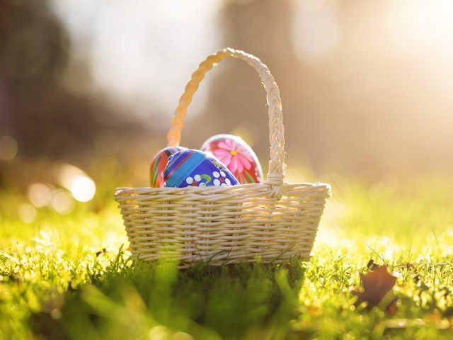 Easter Basket rejoices