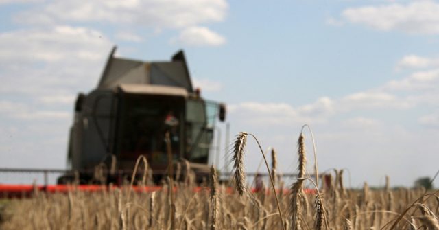 EU Commission Prez, Slovak PM Go to Kyiv to Try to Secure Grain Supply