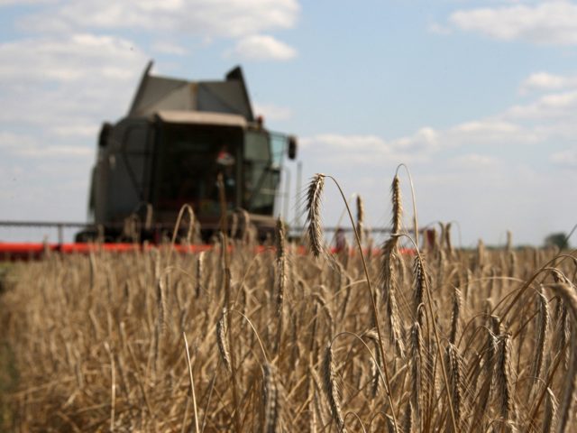 UKRAINE-AGRICULTURE-ECONOMY