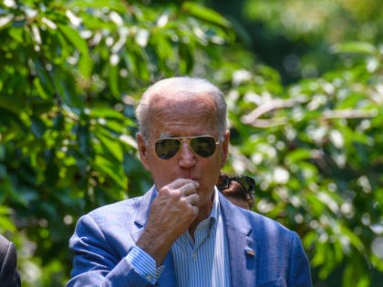US President Joe Biden samples a cherry he tours a cherry orchard at King Orchards, a fruit farm in Central Lake, Michigan on July 3, 2021. (Photo by MANDEL NGAN / AFP) (Photo by MANDEL NGAN/AFP via Getty Images)