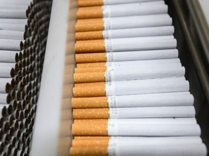This picture taken on August 4, 2021, shows counterfeit branded cigarettes found during a raid by customs officers on an illegal smuggling site in Aartselaar, near Brussels. - Belgian customs officers on August 4, 2021, mounted their biggest-ever operation against counterfeit cigarette production, swooping on 10 illegal sites and making …