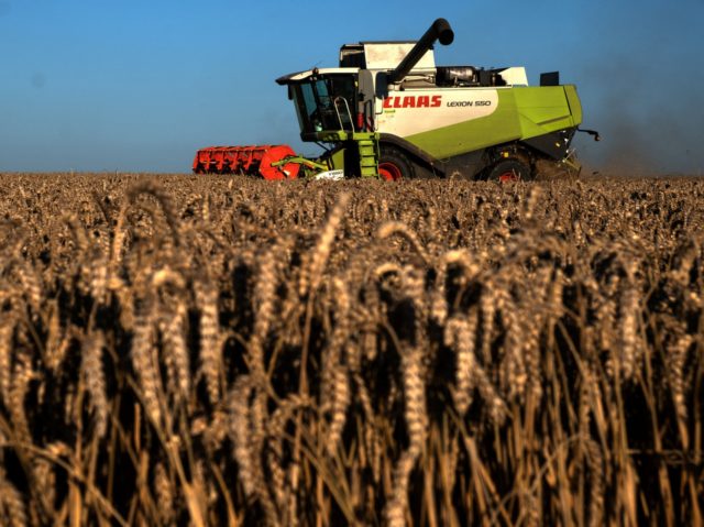 A farmer drives a combine harvester across a wheat field in Saint-Philbert-sur-Risle, nort