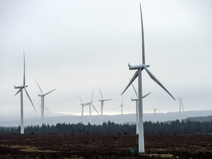 Wind turbines operated by ScottishPower Renewables, are pictured at Whitelee Onshore Windfarm on Eaglesham Moor, southwest of Glasgow, on January 17, 2022. - Whitelee, operated by Scottish Power, is the UK's largest onshore wind farm - its 215 turbines are said to be able to generate up to 539 megawatts …