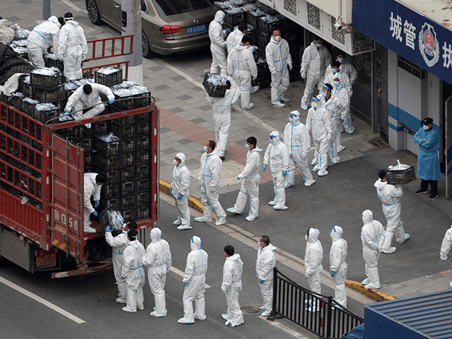 This photo taken on April 5, 2022 shows people wearing personal protective equipment (PPE) as they transfer daily food supplies and necessities for local residents during the Covid-19 lockdown in Shanghai. - China OUT (Photo by AFP) / China OUT (Photo by STR/AFP via Getty Images)