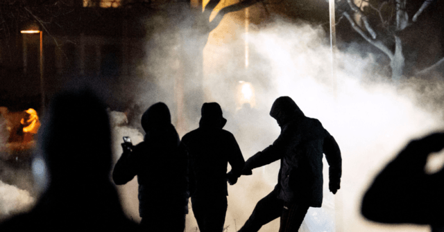 'No-Go Zones': PM Admits There Are 'Parallel Societies' in Diverse Sweden