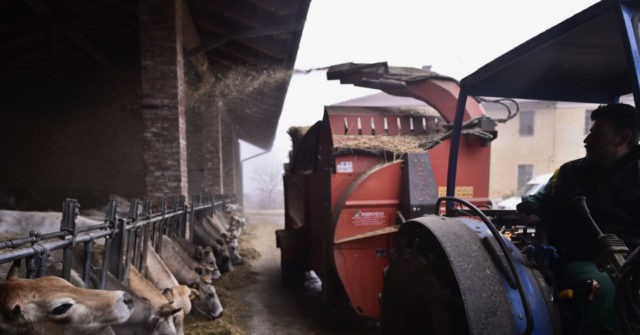 Italian Farmers in Crisis As War Sees Feed, Fuel, Fertiliser Price Surge