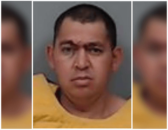 An illegal alien has received a 10-year prison sentence for …