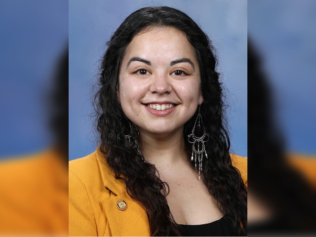 Democrat Michigan Rep. Arrested, Charged with Drunk Driving - Vimarsana News
