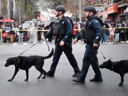 NEW YORK, NEW YORK - APRIL 12: Police and emergency responders gather at the site of a reported shooting of multiple people outside of the 36 St. subway station on April 12, 2022, in the Brooklyn borough of New York City. According to authorities, multiple people have reportedly been shot …