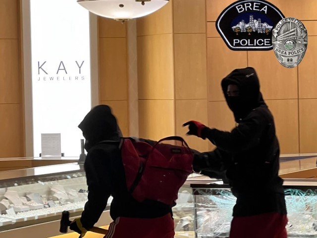 WATCH – Group Hits New York Jewelry Store for Estimated $100K in Smash-And-Grab: Police