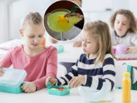 Reports: MI Kindergartner Shares Tequila Cocktail with Classmates