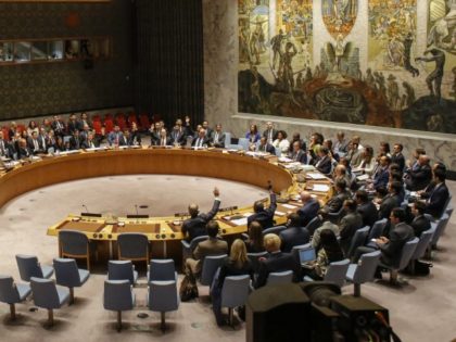 TOPSHOT - Members of the UN Security Council vote at a UN Security Council meeting over No