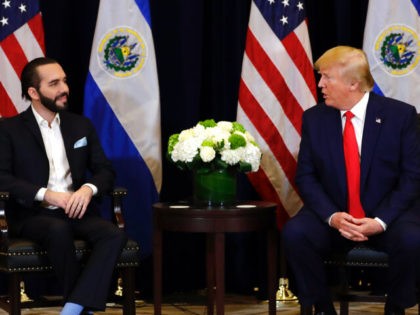 President Donald Trump meets with President Nayib Bukele of El Salvador at the InterContinental Barclay New York hotel during the United Nations General Assembly, Wednesday, Sept. 25, 2019, in New York. (AP Photo/Evan Vucci)