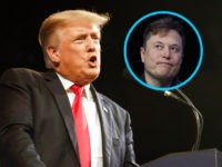 Trump Torches Musk over 'Probably Illegal Purchase' of 'Fake Twitter'