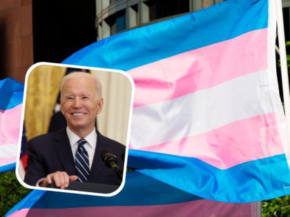 Trans pride flags flutter in the wind at a gathering to celebrate International Transgender Day of Visibility, March 31, 2017 at the Edward R. Roybal Federal Building in Los Angeles, California. (Photo credit should read ROBYN BECK/AFP via Getty Images) U.S. President Joe Biden smiles during the first news conference …